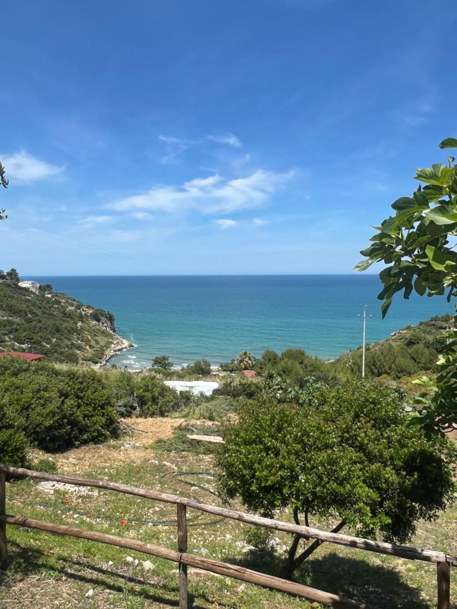Trilocale 2 Sul Mare Apartment Peschici Bagian luar foto